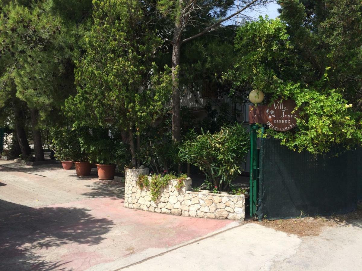 Villa Irene Vieste Exterior photo